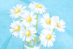 daisies 2 detail