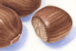 nuts detail